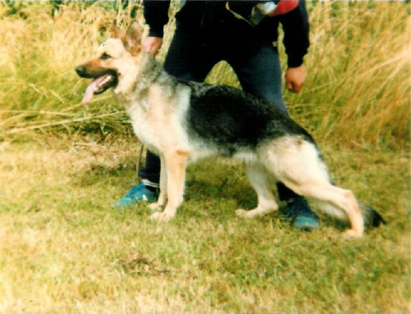 Bonnie du Clan de la Batellerie