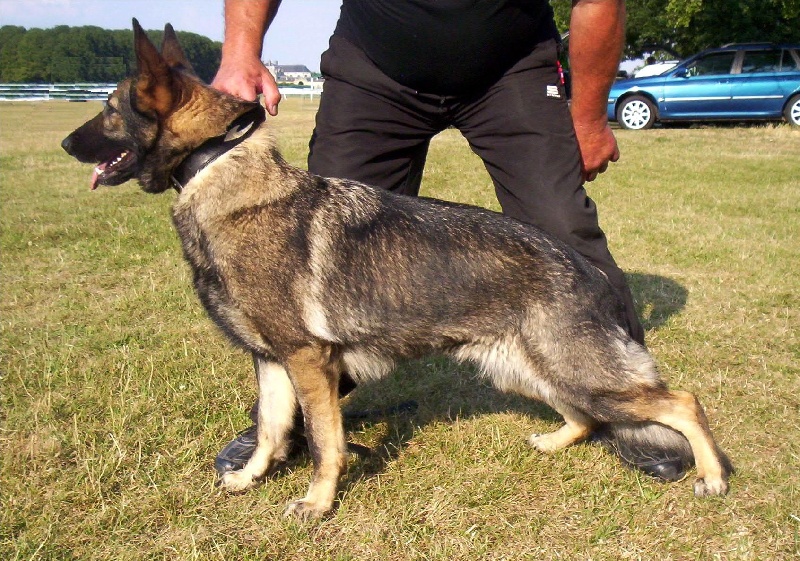 Amazone Du val des hurles vent