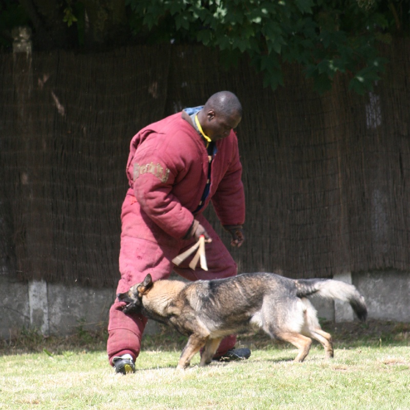 Amazone Du val des hurles vent