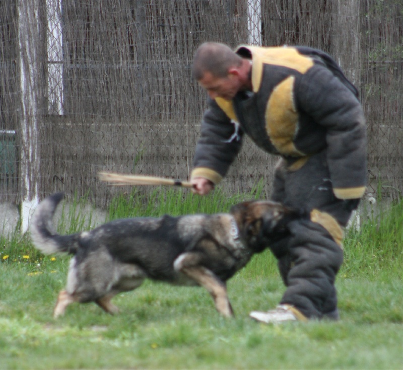 Amazone Du val des hurles vent