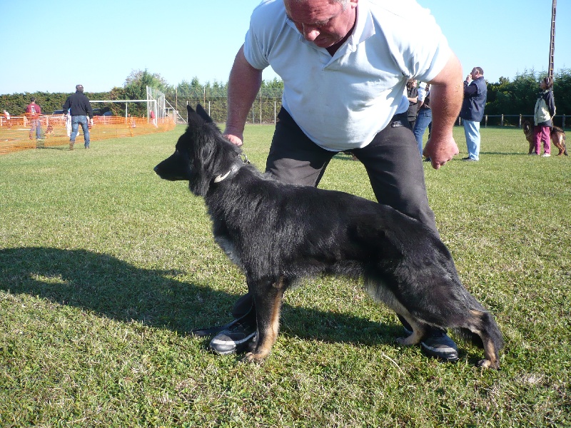 Cheyenne Du val des hurles vent