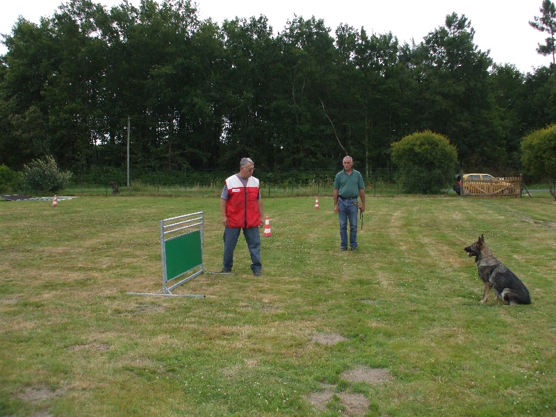 Amazone Du val des hurles vent